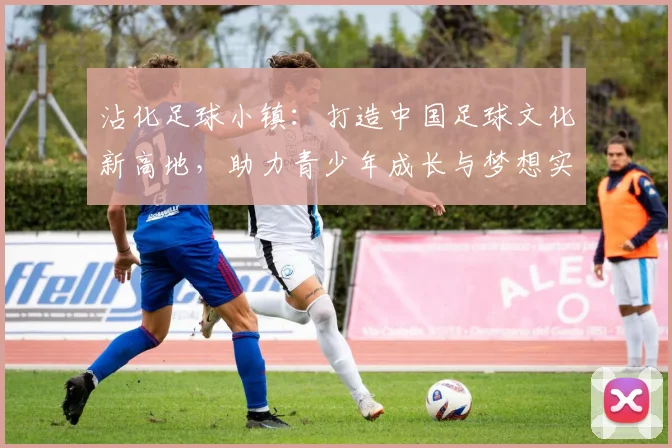 沾化足球小镇：打造中国足球文化新高地，助力青少年成长与梦想实现