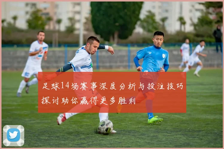 足球14场赛事深度分析与投注技巧探讨助你赢得更多胜利